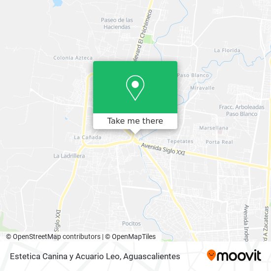 Mapa de Estetica Canina y Acuario Leo