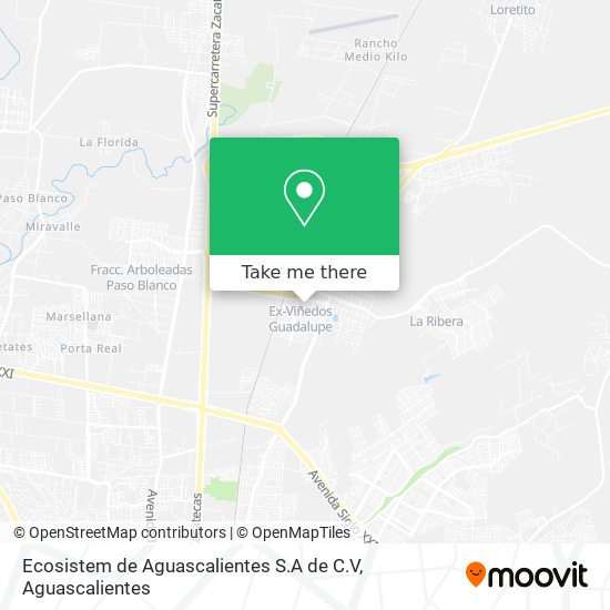 Mapa de Ecosistem de Aguascalientes S.A de C.V