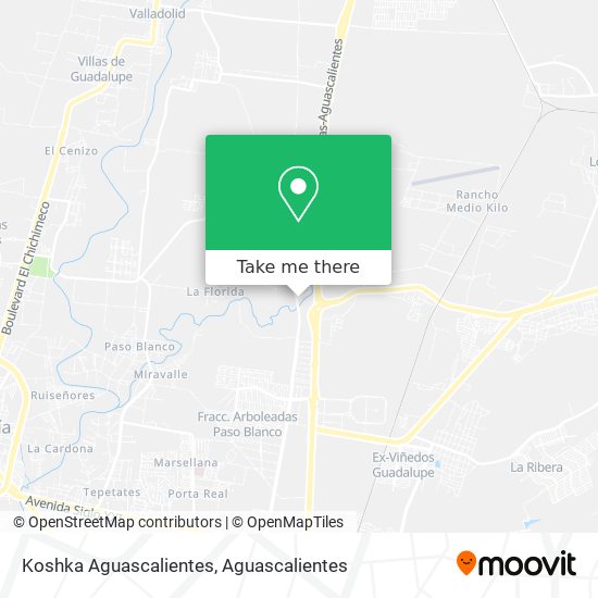 Koshka Aguascalientes map