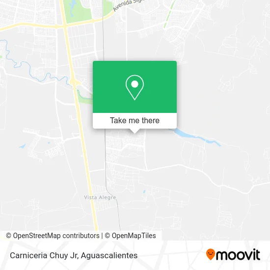 Carniceria Chuy Jr map