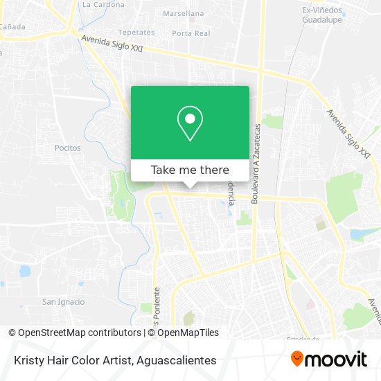 Kristy Hair Color Artist map