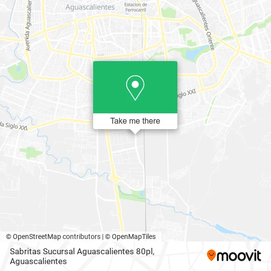 Sabritas Sucursal Aguascalientes 80pl map