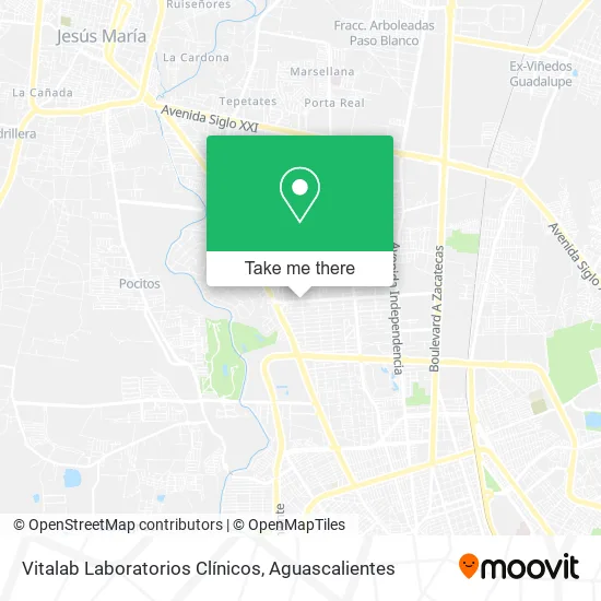 Vitalab Laboratorios Clínicos map