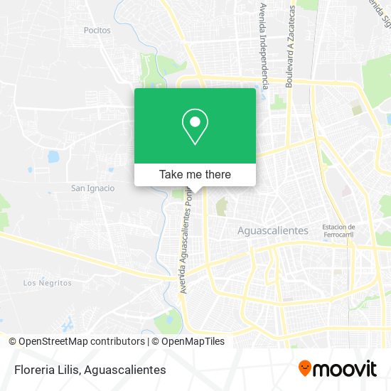 Mapa de Floreria Lilis