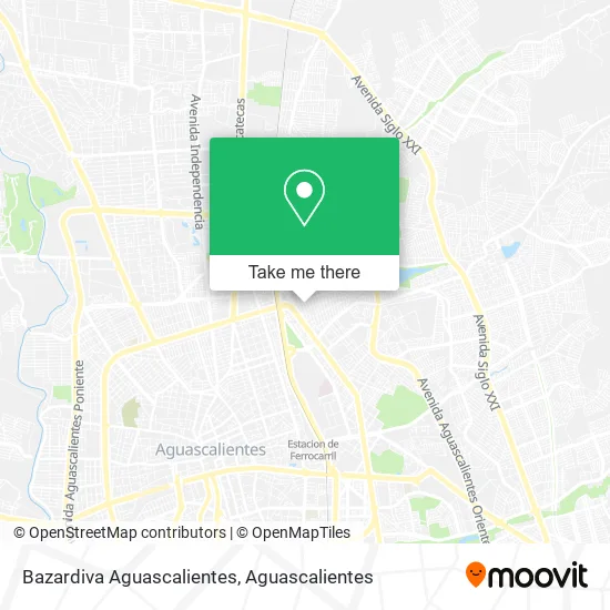 Bazardiva Aguascalientes map