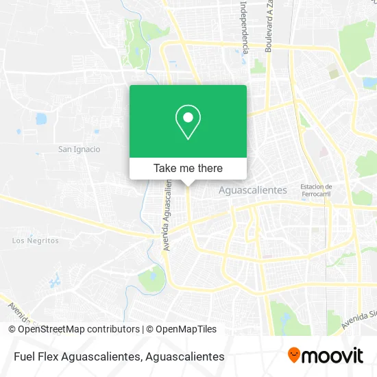 Fuel Flex Aguascalientes map