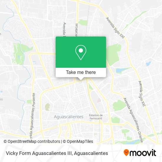 Vicky Form Aguascalientes III map