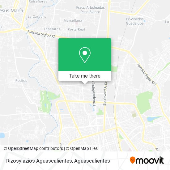Mapa de Rizosylazios Aguascalientes