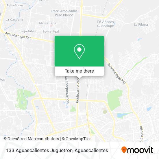 133 Aguascalientes Juguetron map