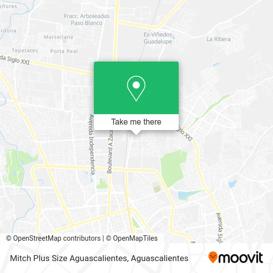 Mitch Plus Size Aguascalientes map