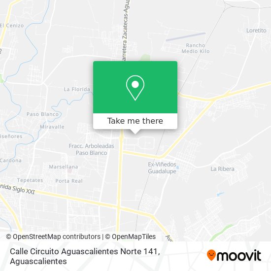 Calle Circuito Aguascalientes Norte 141 map