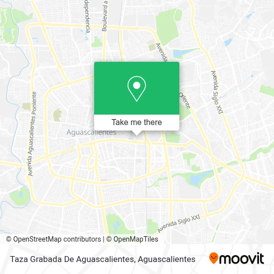 Taza Grabada De Aguascalientes map