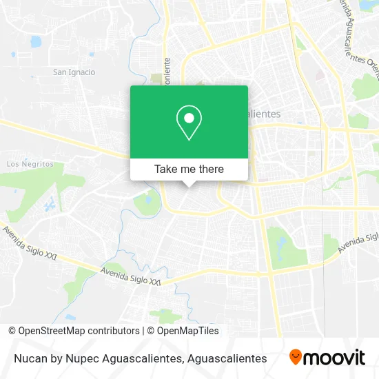 Nucan by Nupec Aguascalientes map