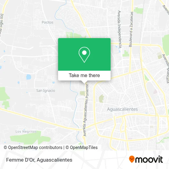 Femme D'Or map