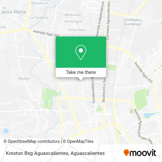 Kreston Bsg Aguascalientes map