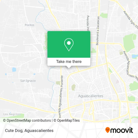 Cute Dog map