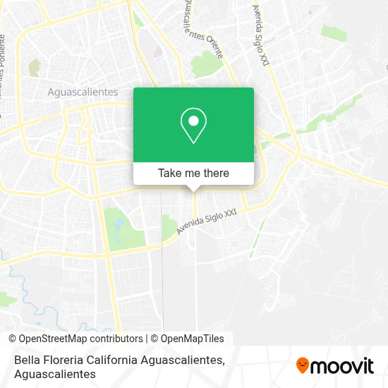 Bella Floreria California Aguascalientes map