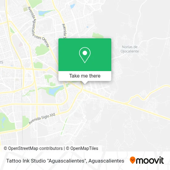 Tattoo Ink Studio "Aguascalientes" map