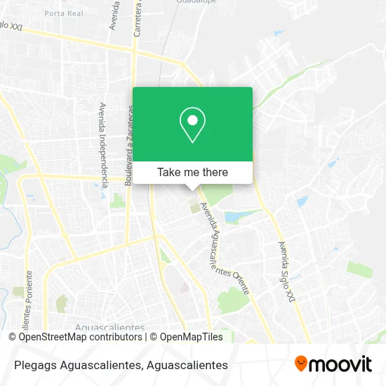 Plegags Aguascalientes map
