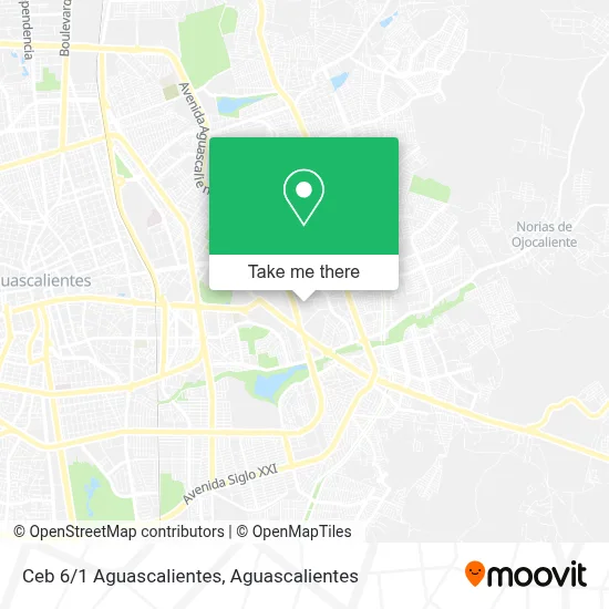 Ceb 6/1 Aguascalientes map