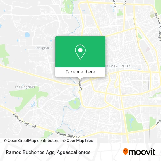 Ramos Buchones Ags map