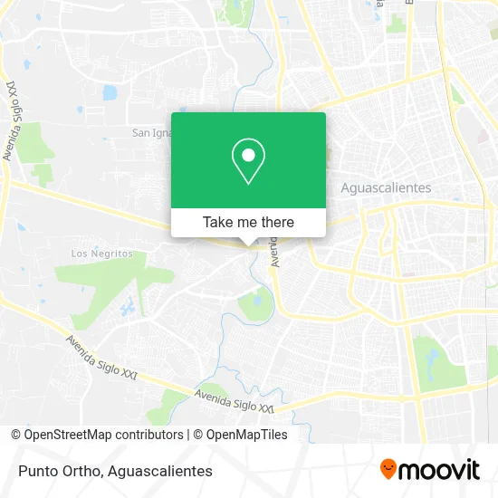 Punto Ortho map