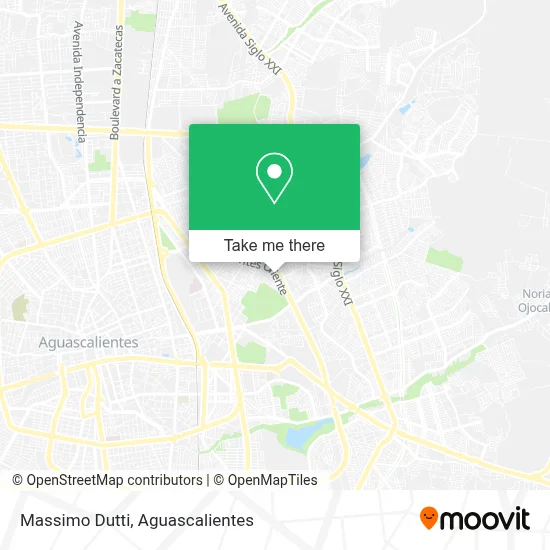 Massimo Dutti map