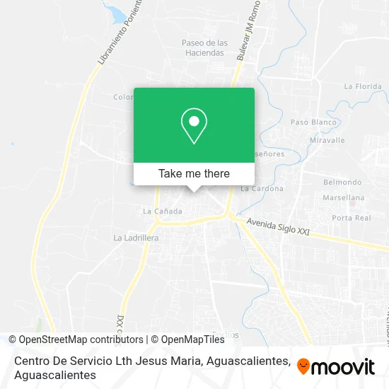 Centro De Servicio Lth   Jesus Maria, Aguascalientes map