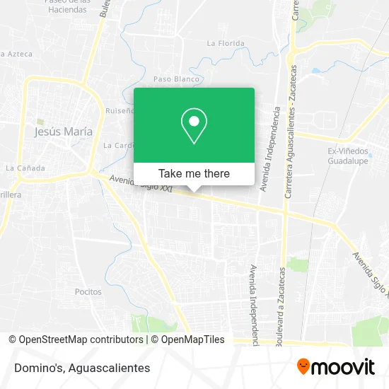 Domino's map
