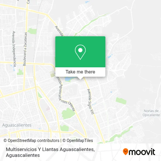 Multiservicios Y Llantas Aguascalientes map