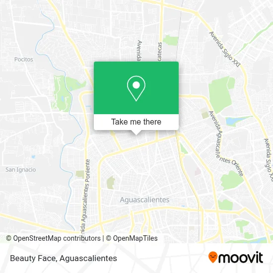 Beauty Face map