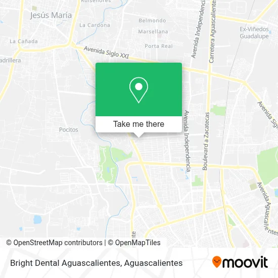 Bright Dental Aguascalientes map
