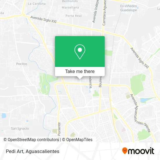 Pedi Art map