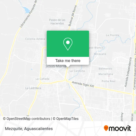 Mezquite map