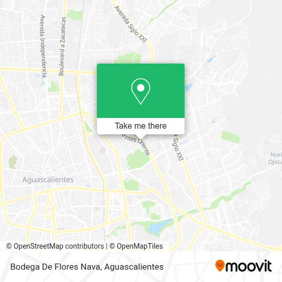 Bodega De Flores Nava map