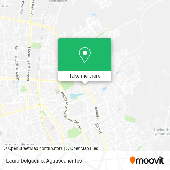 Laura Delgadillo map