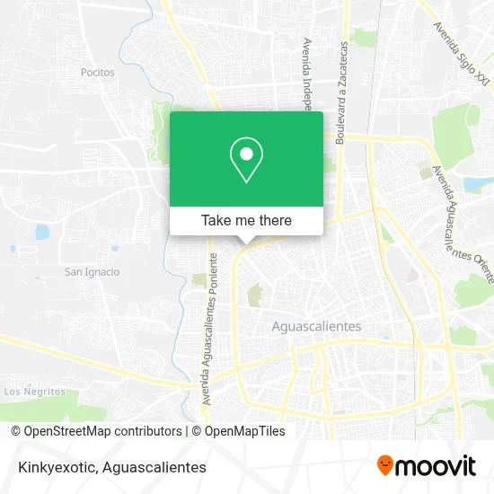 Kinkyexotic map