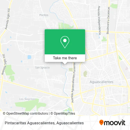 Pintacaritas Aguascalientes map