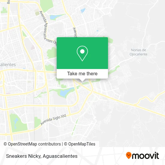 Sneakers Nicky map