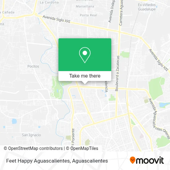 Feet Happy Aguascalientes map
