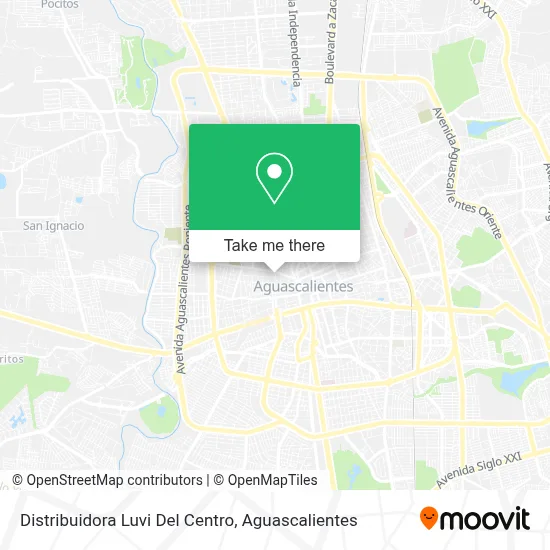Distribuidora Luvi Del Centro map