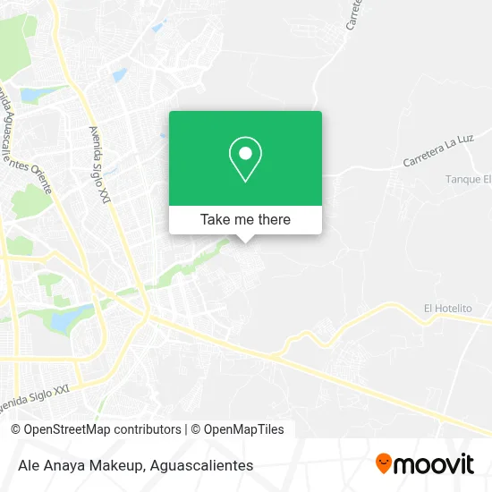 Ale Anaya Makeup map