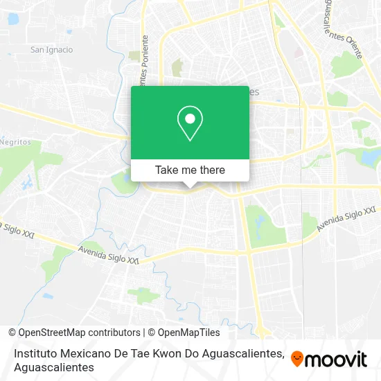 Instituto Mexicano De Tae Kwon Do Aguascalientes map