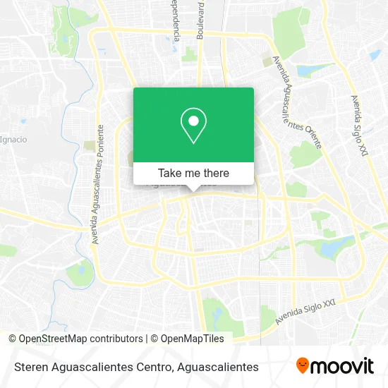 Steren Aguascalientes Centro map