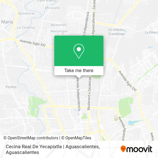 Cecina Real De Yecapixtla | Aguascalientes map