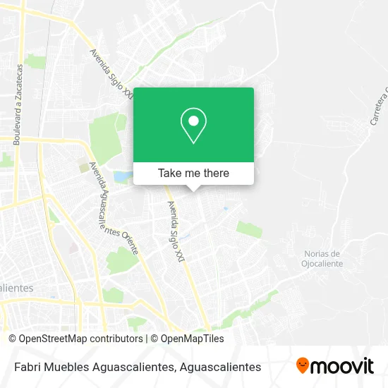 Fabri Muebles Aguascalientes map