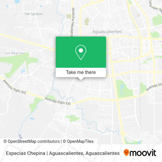 Especias Chepina | Aguascalientes map