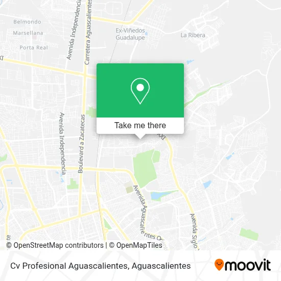 Cv Profesional Aguascalientes map