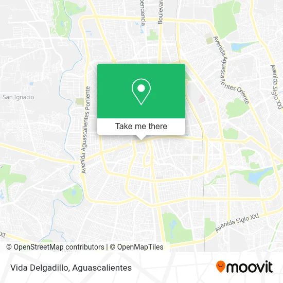 Vida Delgadillo map