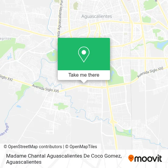 Madame Chantal Aguascalientes De Coco Gomez map